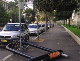 Bike Lock / Floatie / Leaves