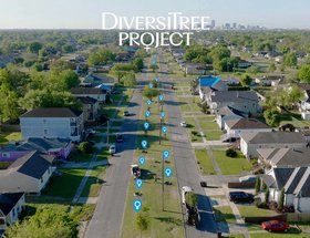 The DiversiTree Project