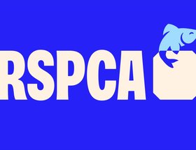 RSPCA: Everyone for Every Animal