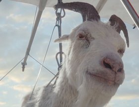 Virgin Media – Goat Glider