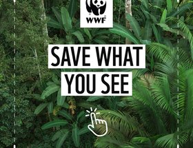 WWF Save What You See